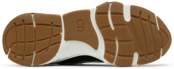Dior B22 'White Black Gum'