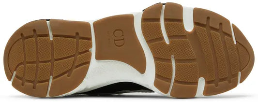 Dior B22 'White Black Gum'