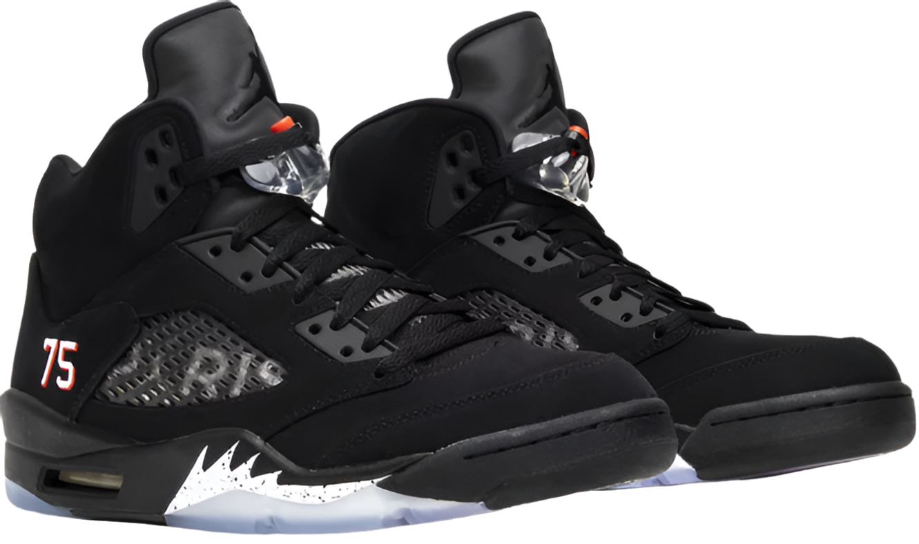 Paris Saint-Germain x Air Jordan 5 Retro